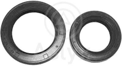JEUX DE 2 PARAHUILE CARDON DT+GH PSA C3 /1213463/1213443 — AS202048