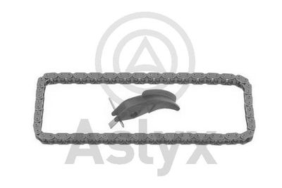 KIT CHAINE PSA BOXER III FORD TRANSIT — AS521058