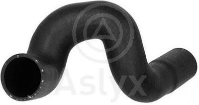 DURITE TUR PSA C5-407 AS509616 13230/9871/3330037 — AS601344