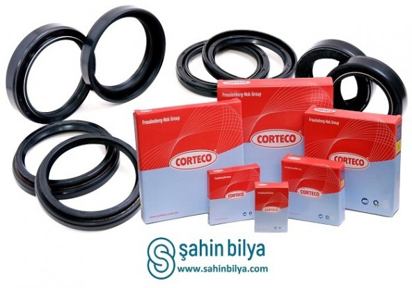 PARAHUILE VILB 71X8X8 205 II 309 051429 — COR07011552B