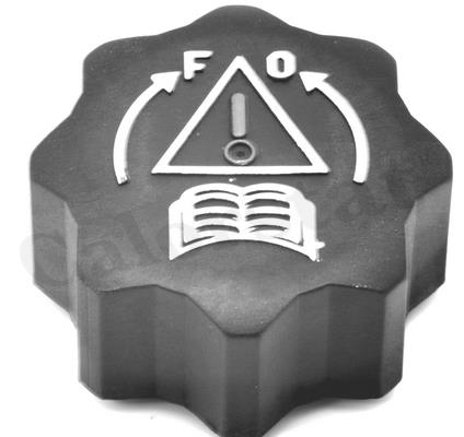 BOUCHON D'EAU C3 206 406 EXPERT C*-ELYSEE C4 C5 JUMPY 208 207 407 508 — RC0021