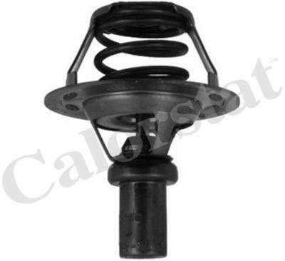 THERMOSTAT 91° R19 CLIO I EXPRESS ESS — TH5284.91J