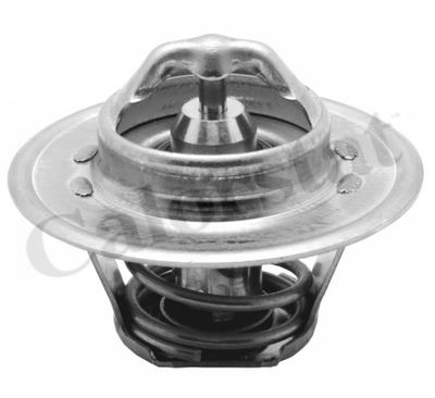 THERMOSTAT 82° VW POLO III IV V AUDI A4 A5 — TH5962.82J