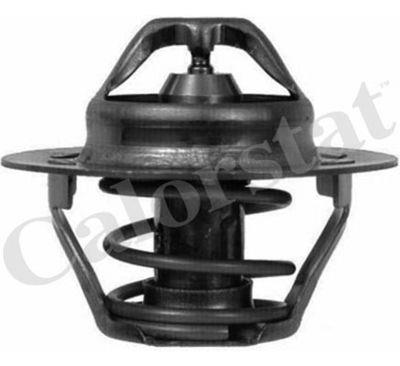 THERMOSTAT 89° R19 R21 CLIO KANGOO LAGUNA MEGANE 1.7E — TH6045.89J
